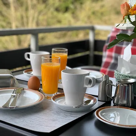 Harzfewo Koehnke 2 아파트 *